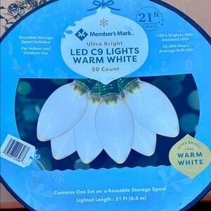 Member's Mark LED C9 Lights Warm White